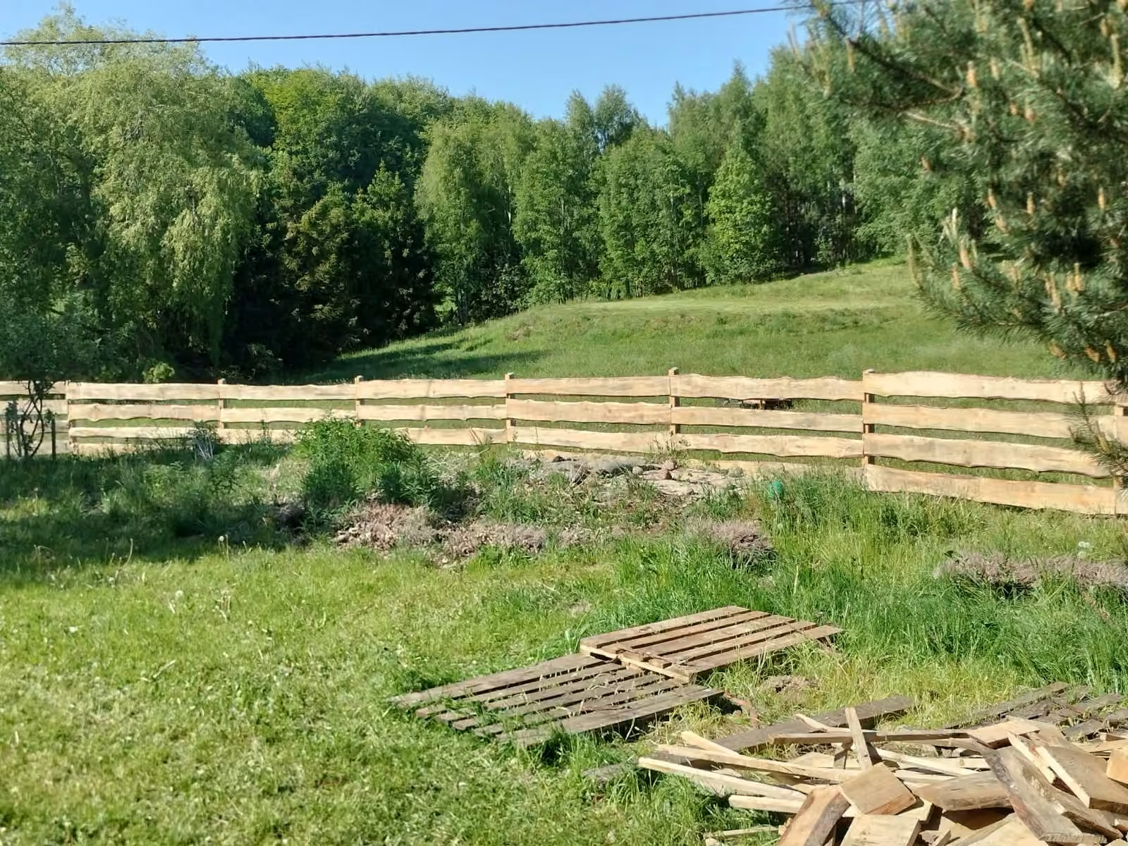 Uporządkowanie działki